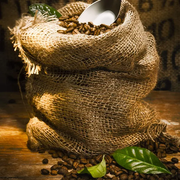 Grains torrefies avec passion